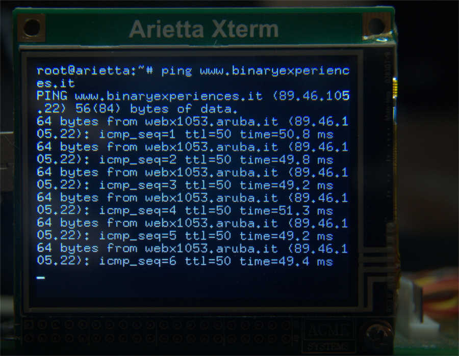L'xterm di arietta g25 mostra l'esito del comando ping verso binaryexperiences.it